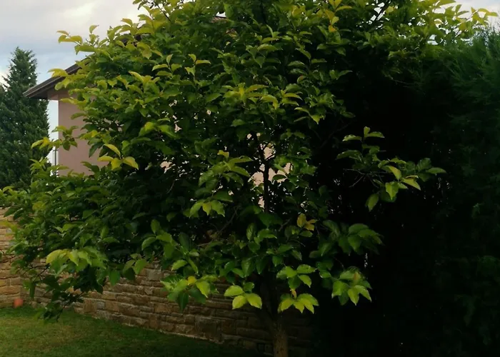 Нощувка със закуска (B & B) Affordable With Bbq 5 Min Drive From Lusi