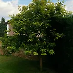 Bed & Breakfast Affordable With Bbq 5 Min Drive From Lucy