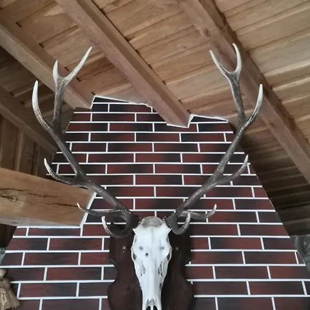 Bed & Breakfast Affordable With Bbq 5 Min Drive From Lusi 3*